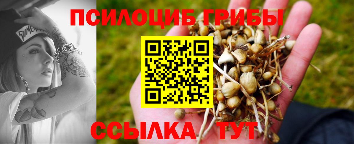 Псилоцибиновые грибы мухоморы Кириши